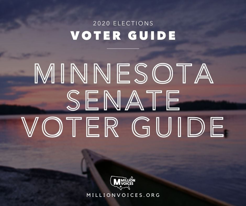 2020 - Minnesota Senate Voter Guide