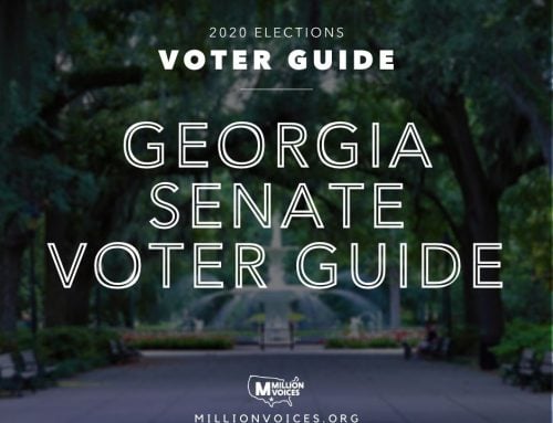 2020 Georgia Senate Voter Guide