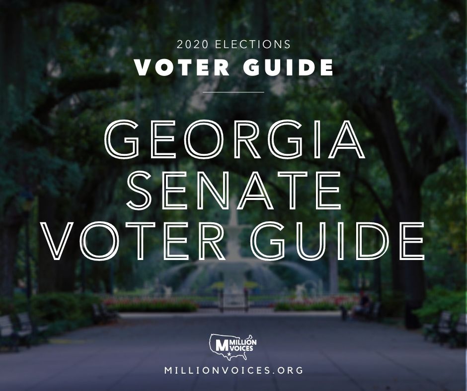 2020 - Georgia State Senate Voter Guide (2)