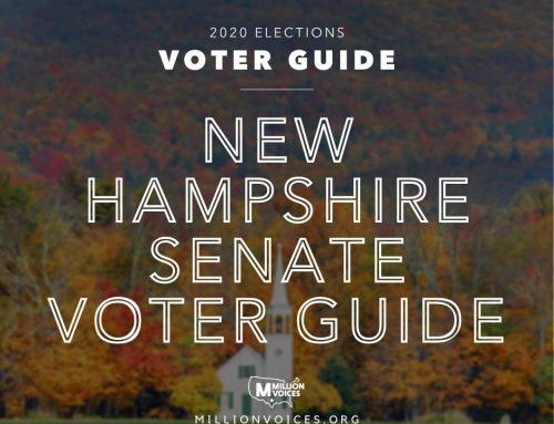 2020 New Hampshire Senate Voter Guide