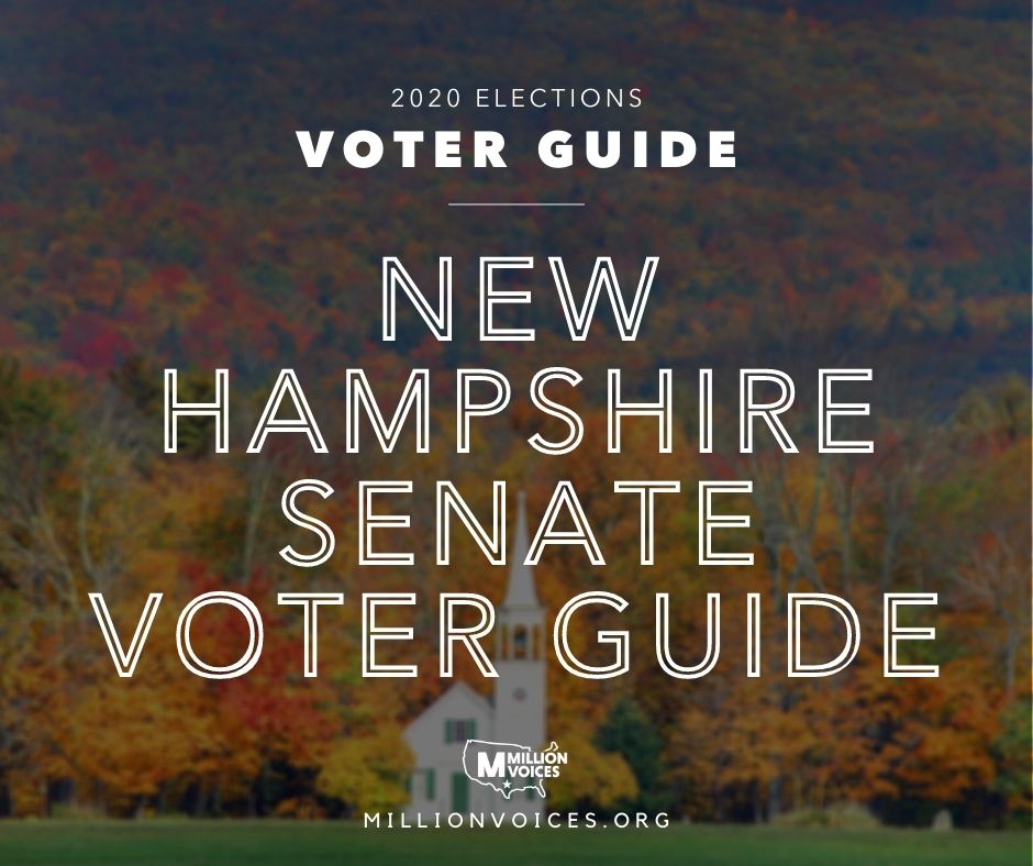 2020 - State Senate Voter Guide New Hampshire