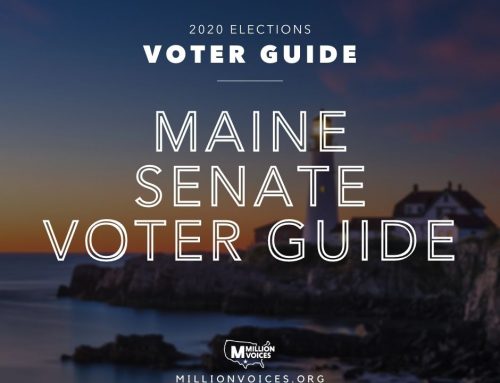 2020 Maine Senate Voter Guide