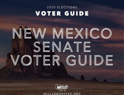 2020 New Mexico Senate Voter Guide
