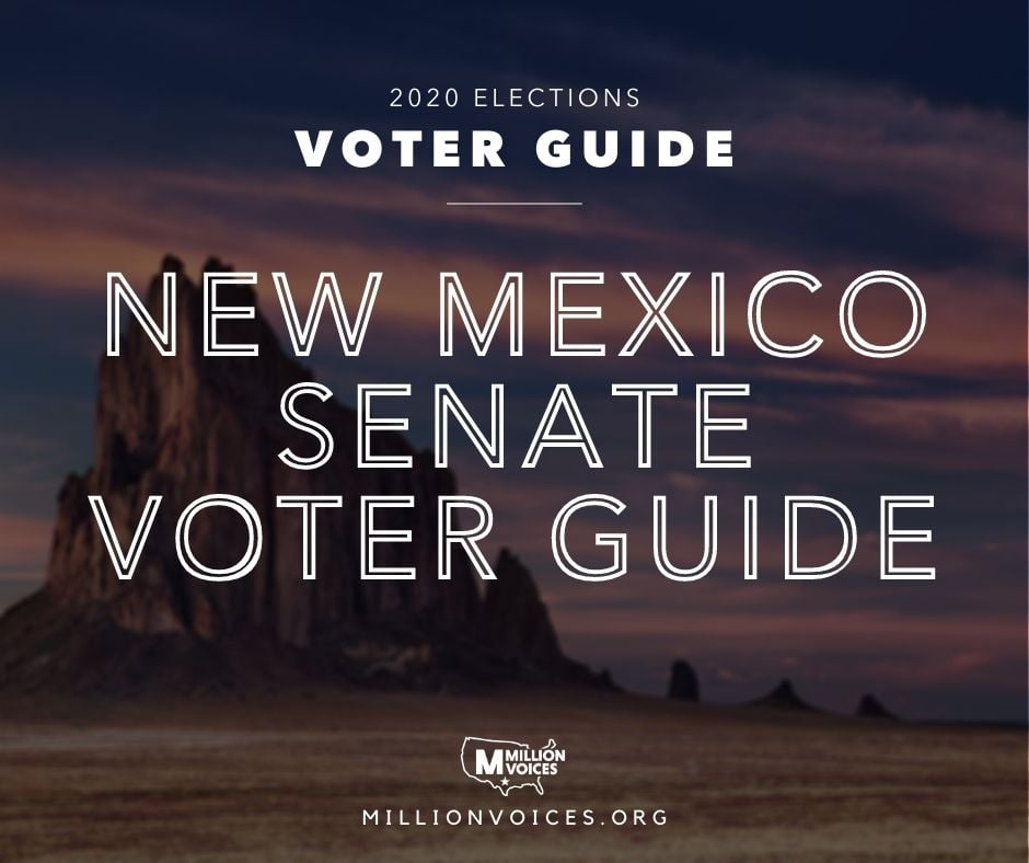 2020 - State Senate Voter Guide New MExico